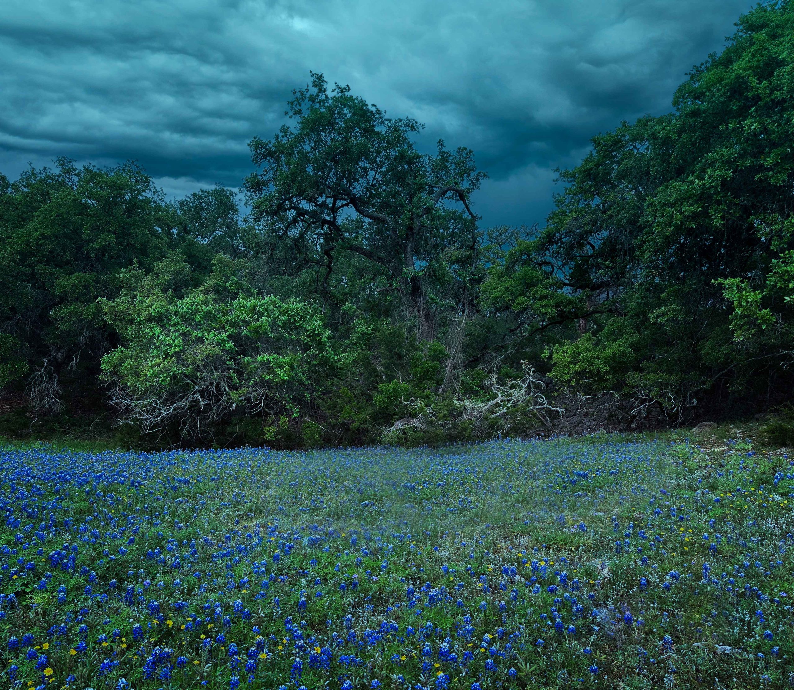John Freud - Springs and Seasons -A Drink Awaits